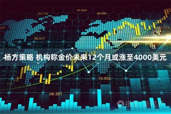 杨方策略 机构称金价未来12个月或涨至4000美元