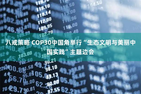 八戒策略 COP30中国角举行“生态文明与美丽中国实践”主题边会