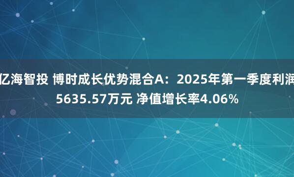 亿海智投 博时成长优势混合A：2025年第一季度利润5635.57万元 净值增长率4.06%
