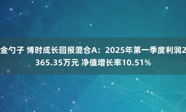 金勺子 博时成长回报混合A：2025年第一季度利润2365.35万元 净值增长率10.51%