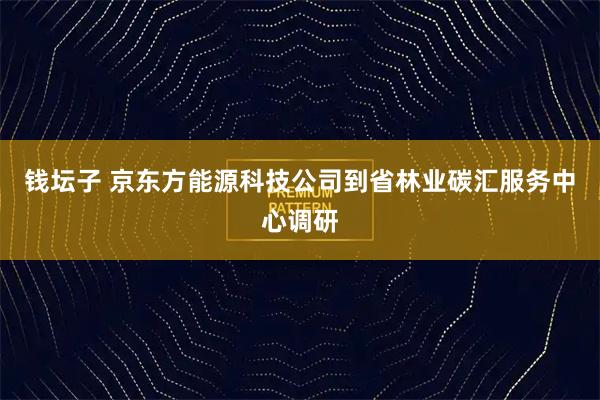 钱坛子 京东方能源科技公司到省林业碳汇服务中心调研